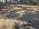 Expansive backyard space, with a scattering of trees and foliage at 3212 Potthast Ct, Raleigh, NC 27616