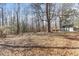 Large backyard with a shed and mature trees at 1508 Carroll Heights Rd, Zebulon, NC 27597
