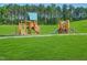 Two wooden playsets on grassy hill at 1565 Goldfinch Perch Ln, Knightdale, NC 27545