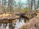 Small creek with reflections of trees in the water at 330 Ellis Stewart Ln Ln, Cameron, NC 28326
