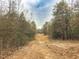 Dirt driveway leading through a wooded area at 330 Ellis Stewart Ln Ln, Cameron, NC 28326