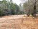 Open field with a wild turkey and wood line at 330 Ellis Stewart Ln Ln, Cameron, NC 28326