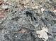 Close-up of the ground showing soil and leaves at 330 Ellis Stewart Ln Ln, Cameron, NC 28326