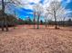 Open land with scattered trees and dry grass at 330 Ellis Stewart Ln Ln, Cameron, NC 28326