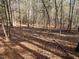 Wooded land with sunlight filtering through trees at 330 Ellis Stewart Ln Ln, Cameron, NC 28326