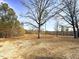 Open land with scattered trees, ideal for building at 330 Ellis Stewart Ln Ln, Cameron, NC 28326
