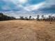 Dry, grassy field with a few trees in background at 330 Ellis Stewart Ln Ln, Cameron, NC 28326