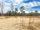 Open pasture with tall grasses and scattered trees at 330 Ellis Stewart Ln Ln, Cameron, NC 28326