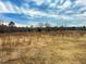 Open field with sparse grass and trees at 330 Ellis Stewart Ln Ln, Cameron, NC 28326