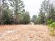 Image of a dirt road through a wooded area at 330 Ellis Stewart Ln Ln, Cameron, NC 28326
