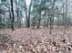 Open wooded area with tall trees and leaf covered ground at 330 Ellis Stewart Ln Ln, Cameron, NC 28326