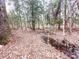Small creek runs through a wooded, leaf covered lot at 330 Ellis Stewart Ln Ln, Cameron, NC 28326