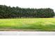 The backyard is surrounded by tall evergreen trees for added privacy at 565 Sweet Potato Lane # 07, Nashville, NC 27856