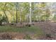 Spacious wooded backyard featuring mature trees and natural ground cover at 11509 Hardwick Ct, Raleigh, NC 27614
