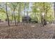 Backyard view of a secluded home surrounded by tall trees and a thick carpet of fallen leaves at 11509 Hardwick Ct, Raleigh, NC 27614