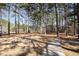 A serene walking path meanders through a tranquil, wooded community, offering a peaceful retreat at 5141 Nc-39 N Hwy, Henderson, NC 27537