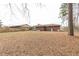 Large backyard with mature trees surrounding the home at 1113 W Mount Dr, Rocky Mount, NC 27803