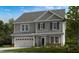 Two-story house with gray siding, white trim, and a two-car garage at 250 Tidal Pool Way, Cary, NC 27519