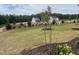 An expansive lawn with newly planted trees in a community under construction at 250 Tidal Pool Way, Cary, NC 27519