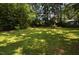 Spacious backyard with lush green grass and mature trees at 326 Webster St, Cary, NC 27511