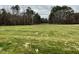 Spacious grassy lot with mature trees bordering the property at 395 Magnolia Run Way, Benson, NC 27504