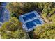 Aerial view of two tennis courts surrounded by mature trees, ideal for tennis enthusiasts and outdoor activities at 102 Calm Winds Ct, Cary, NC 27513