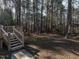 Wooded backyard with mature trees, showcasing the natural landscape and peaceful setting at 2555 N Shiloh Rd, Garner, NC 27529