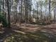 Wooded backyard with mature trees, showcasing the natural landscape and peaceful setting at 2555 N Shiloh Rd, Garner, NC 27529