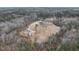 Beautiful aerial view of a home and oversized garage on a large lot with surrounding woodlands at 3958 Buckhorn Rd, Sanford, NC 27330
