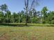 A wide-open grassy area on a beautiful and sunny day at 3958 Buckhorn Rd, Sanford, NC 27330