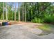 Long concrete driveway in a backyard with tall mature trees at 612 W Chisholm St, Sanford, NC 27330