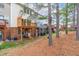 Back exterior view of townhomes with backyard decks and trees at 707 Sutter Gate Ln, Morrisville, NC 27560