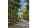 Long, paved driveway leads to a secluded home surrounded by lush, mature trees at 209 Democracy Pl, Apex, NC 27523