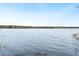Scenic view of the lake with a clear horizon at 209 Democracy Pl, Apex, NC 27523