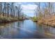 Serene water view with mature trees lining the water's edge at 209 Democracy Pl, Apex, NC 27523