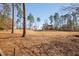 Beautiful backyard overlooking the golf course and mature trees at 43 New Rhododendron, Chapel Hill, NC 27517