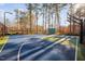 Community basketball court with blue and green surfaces and tall surrounding trees at 43 New Rhododendron, Chapel Hill, NC 27517