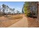 Inviting path through the golf course at 43 New Rhododendron, Chapel Hill, NC 27517