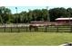A horse grazes peacefully in a well-maintained pasture with secure fencing and red barn buildings in the background at 7027 Old 421 Rd, Liberty, NC 27298