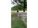 A beautiful horse peers over the fence, showcasing the property's equestrian appeal at 7027 Old 421 Rd, Liberty, NC 27298
