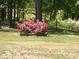 Lush landscaped garden area featuring vibrant red azaleas, grass lawn and framed by mature trees at 7027 Old 421 Rd, Liberty, NC 27298