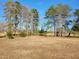 Scenic property view showcasing mature trees and a peaceful setting at 7027 Old 421 Rd, Liberty, NC 27298