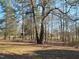 Picturesque view of backyard with mature trees and a peek at the horse barn at 7027 Old 421 Rd, Liberty, NC 27298