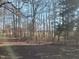 Picturesque view of backyard with mature trees and a peek at the horse barn at 7027 Old 421 Rd, Liberty, NC 27298