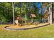 Community playground nestled among trees, complete with slides, climbing structures, and swings at 11705 Appaloosa E, Raleigh, NC 27613