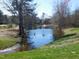 Scenic pond reflecting trees and a clear sky, complete with a fountain and natural surroundings at 781 Fireball Ct, Knightdale, NC 27545