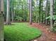 Wooded backyard offers a peaceful escape with mature trees and a neatly manicured lawn at 904 Amersham Ln, Wake Forest, NC 27587