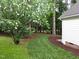 A lush backyard featuring beautifully maintained landscaping and serene wooded backdrop at 904 Amersham Ln, Wake Forest, NC 27587