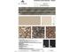 Exterior color package including the roof, siding, shake, trim, stone, front door, and gutters color options at 2317 Bay Minette Station Sta # 545, Apex, NC 27502