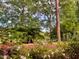Lush backyard featuring foliage, a body of water, and bridge at 3104 Sandy Knoll Ln, Knightdale, NC 27545